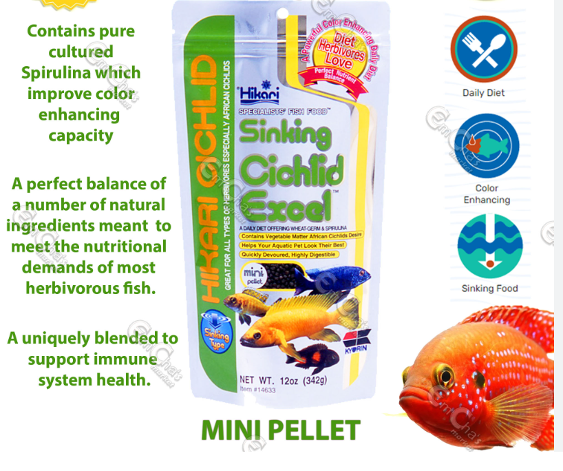 Thức ăn chìm cho các loại cá ali cichlid của hikari Nhật excel sinking mini