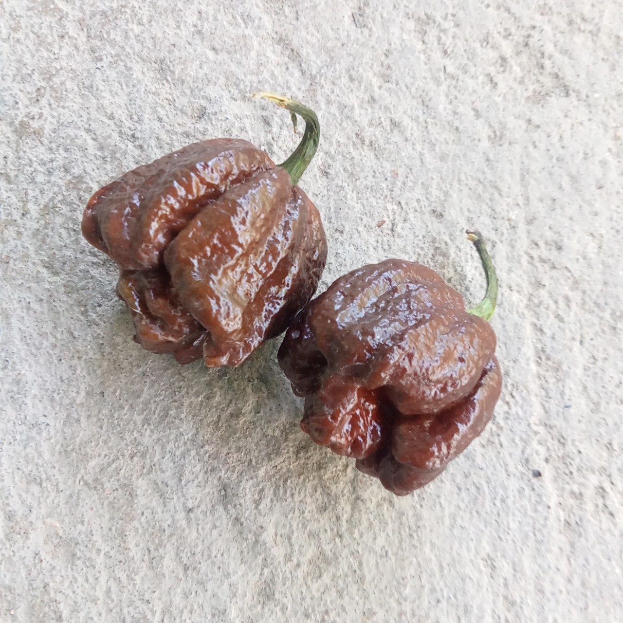 3 Hạt Ớt 7 Pot Chocolate