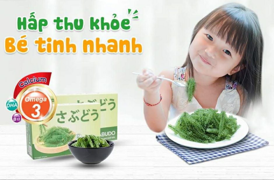 [HCM]COMBO 2 HỘP RONG NHO SABUDO (24 GÓI)