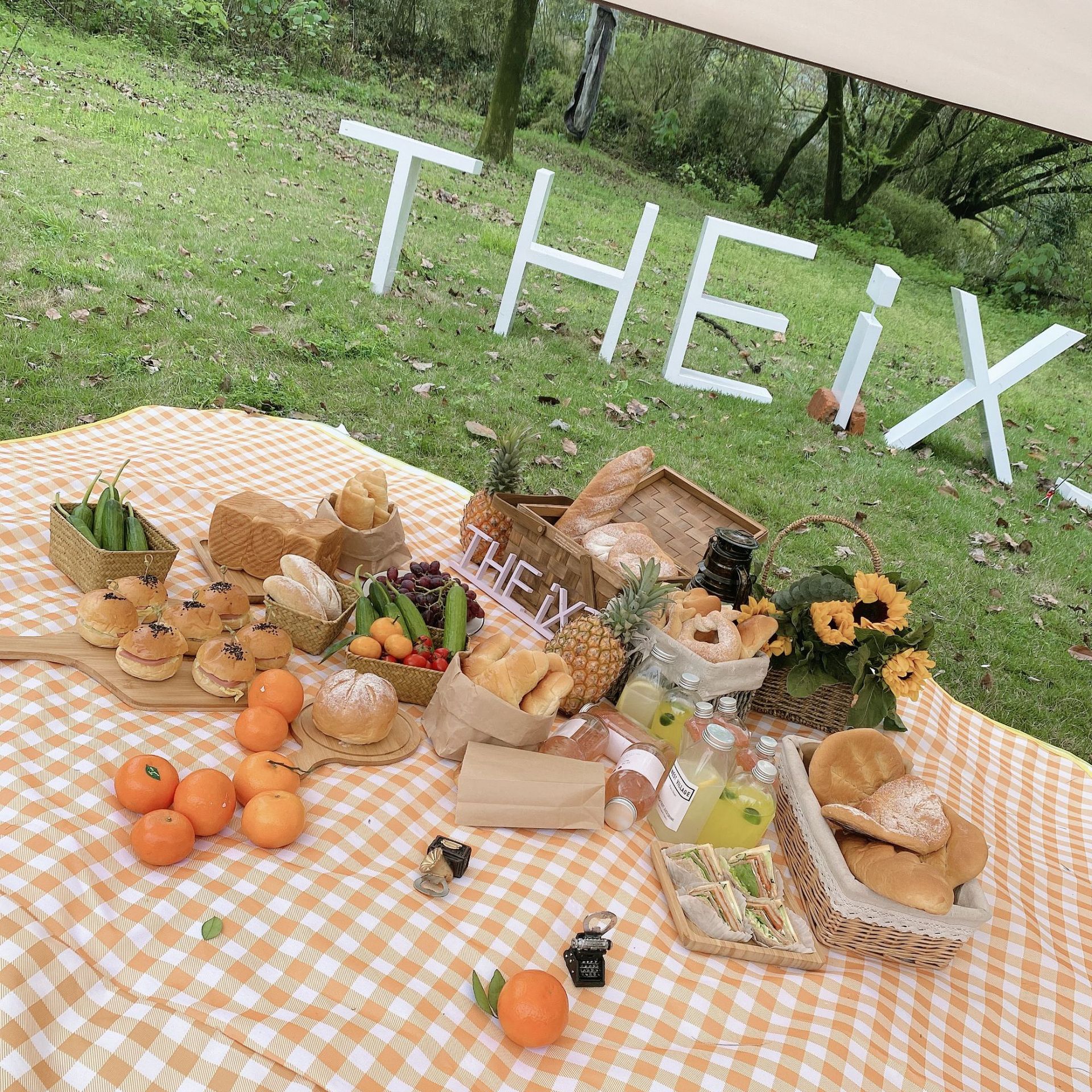 Thảm dã ngoại B23 thảm picnic dễ gấp gọn tiện lợi đi du lịch (giao nghẫu nhiên) NXNDB23