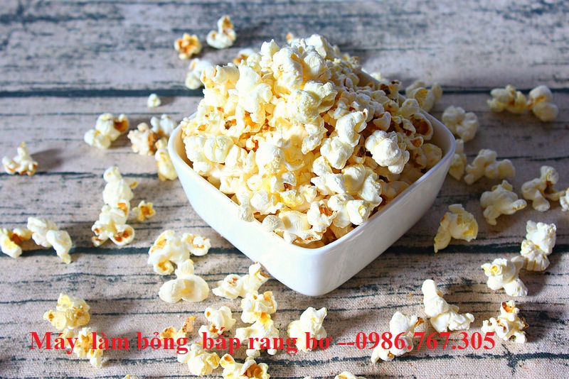 Máy nổ bắp rang bơ điện 1 pha