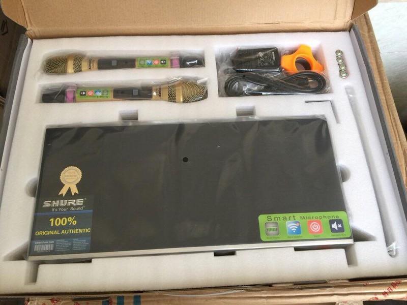 Micro karaoke không dây Shure UGX 9 II