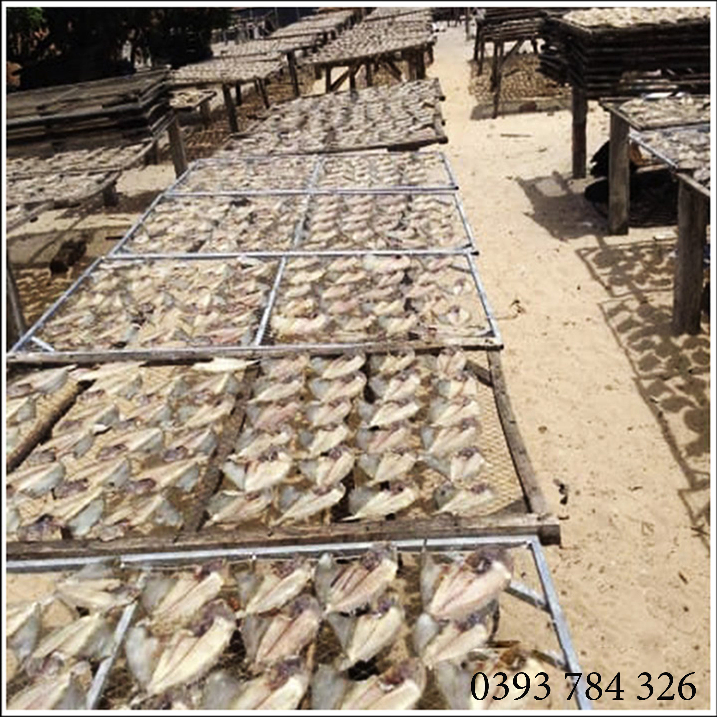 500GR Dried whole fish (Ca Ngo), Delicious Food PHAN THIET-BINH THUAN