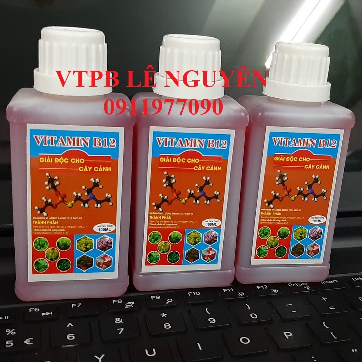 Vitamin B12 -  Cho lan
