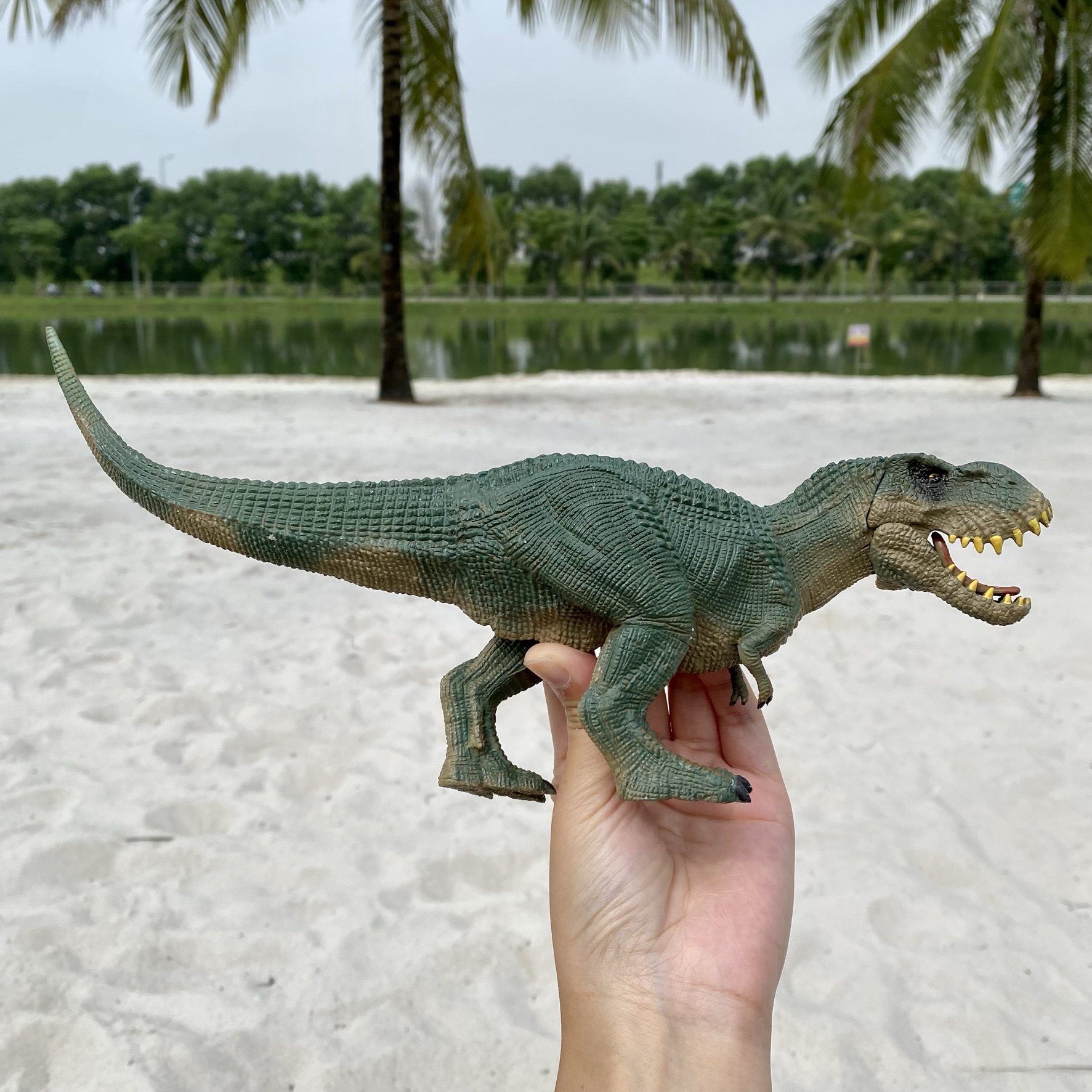 Mô Hình Khủng long bạo chúa T Rex đồ trưng bày
