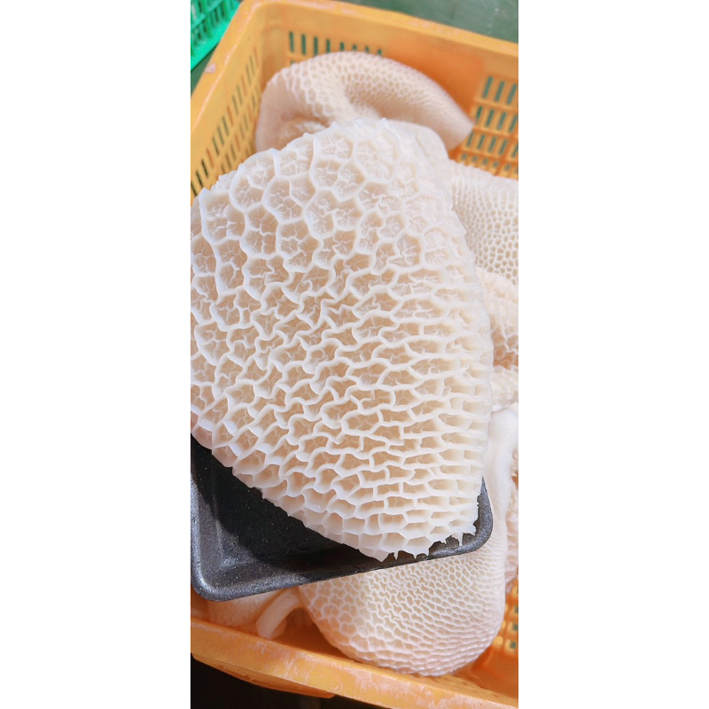 Tổ Ong Bò đã được luộc chín và làm sạch 1kg