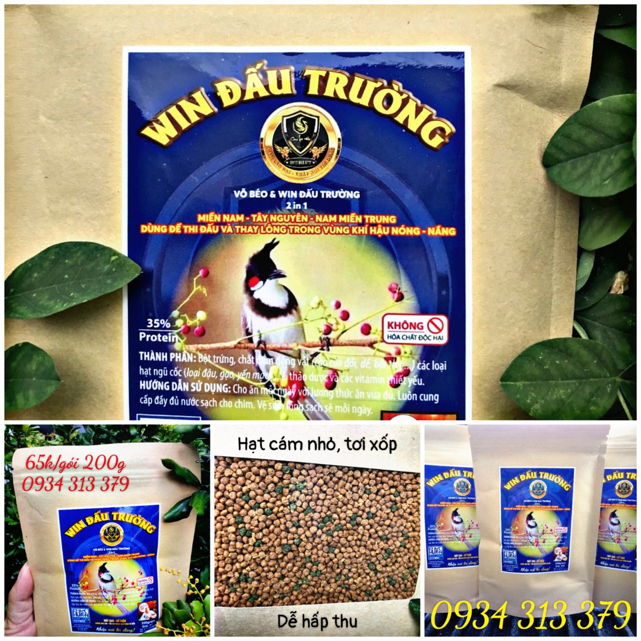 Hội thi chim chào mào Bình Dương đấu hót chào xuân 2021 - Đấu trường 84 -  Báo Bình Dương Online