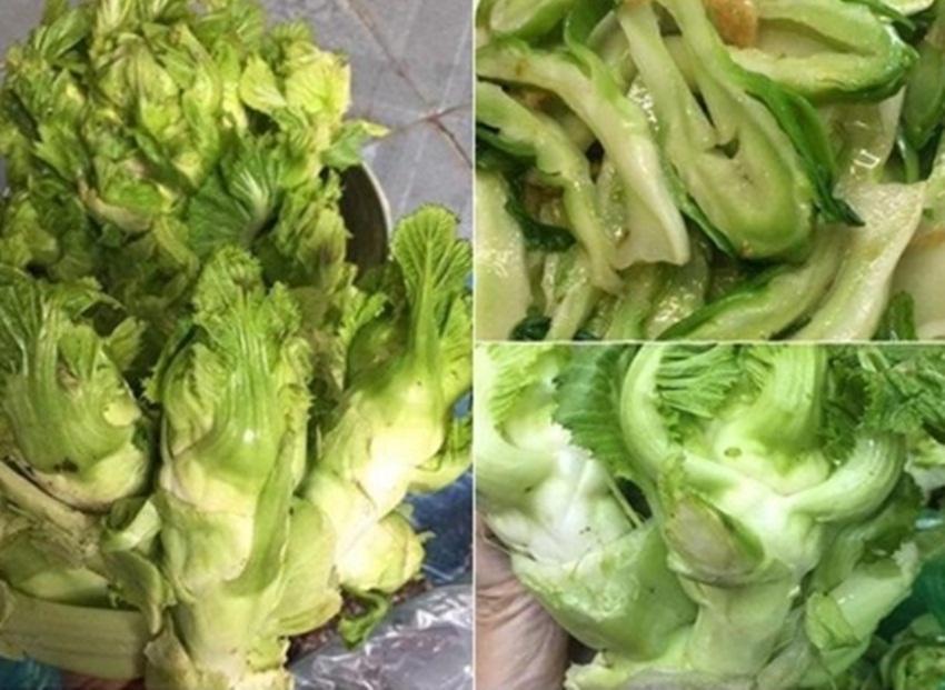 20 hạt Hạt giống rau cải mầm đá