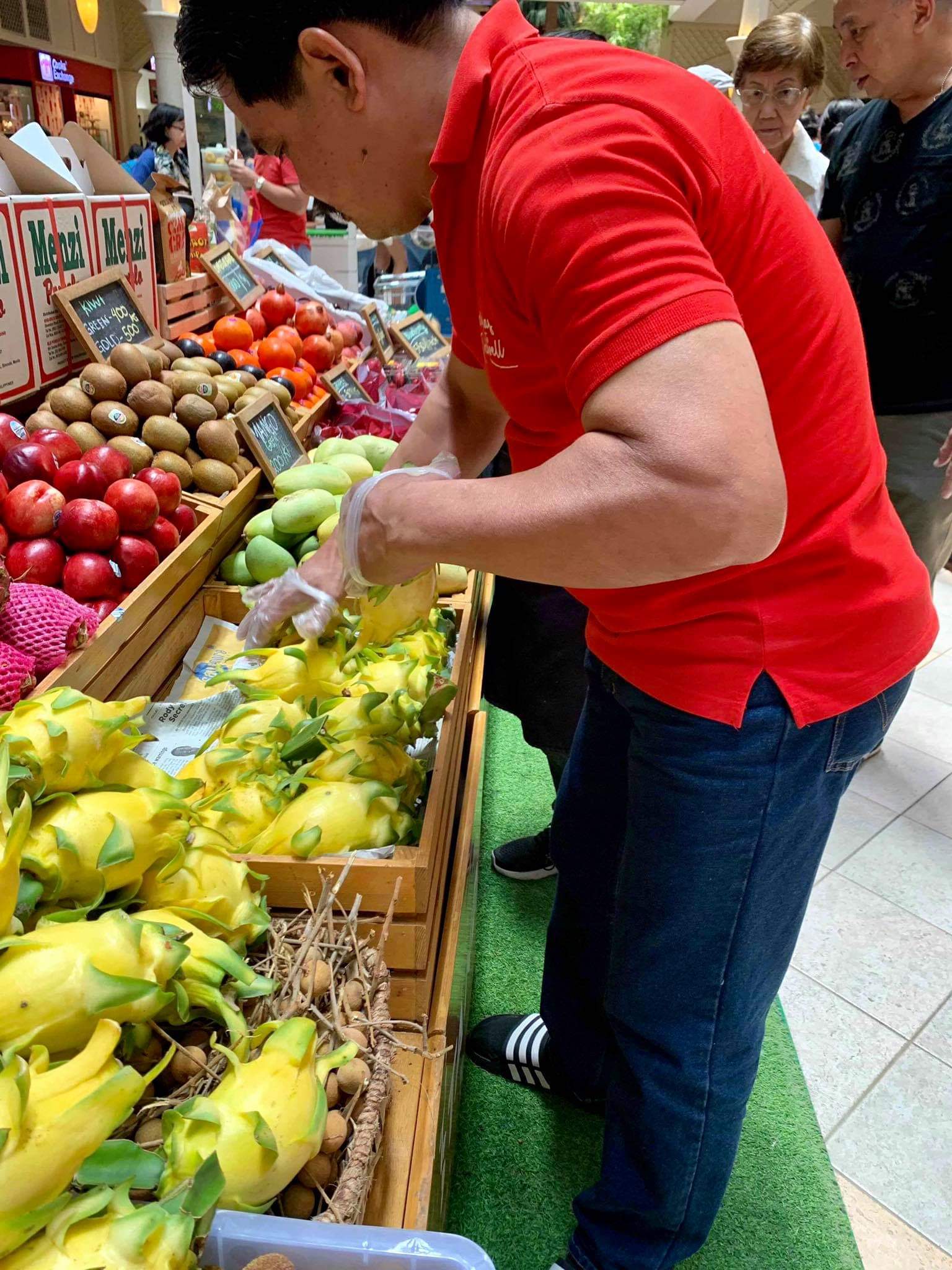 2 CÂY GIỐNG THANH LONG VÀNG THÁI ( ĐỄ TRỒNG HIẾM LẠ)