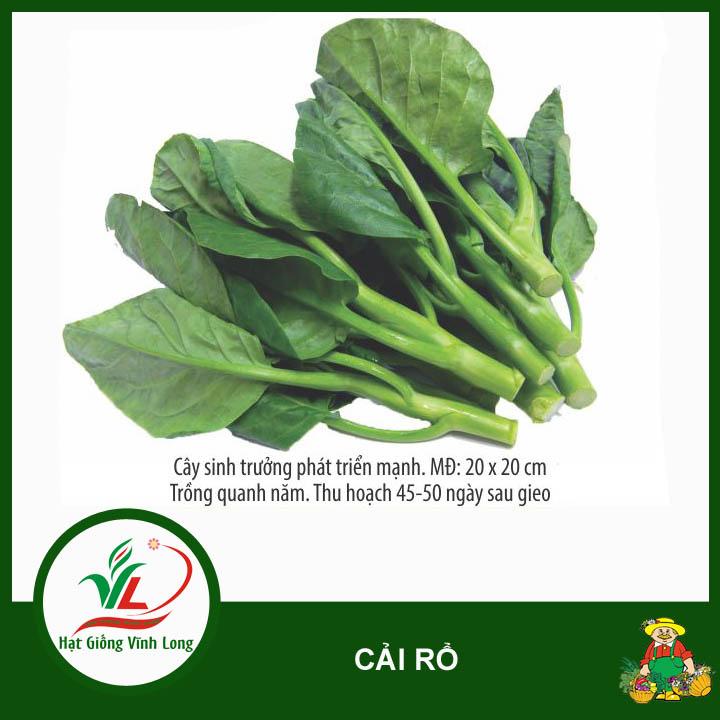 Hạt giống Cải Rổ RD 305 - 5g