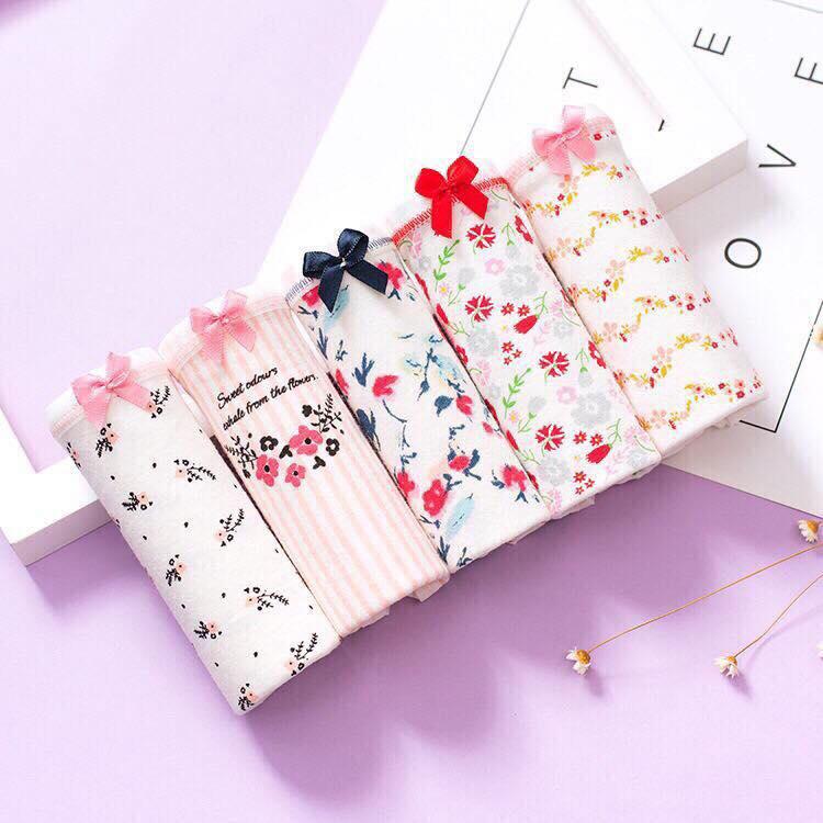 [HCM]Set 5 chiếc Quần lót nữ kháng khuẩn siêu kute