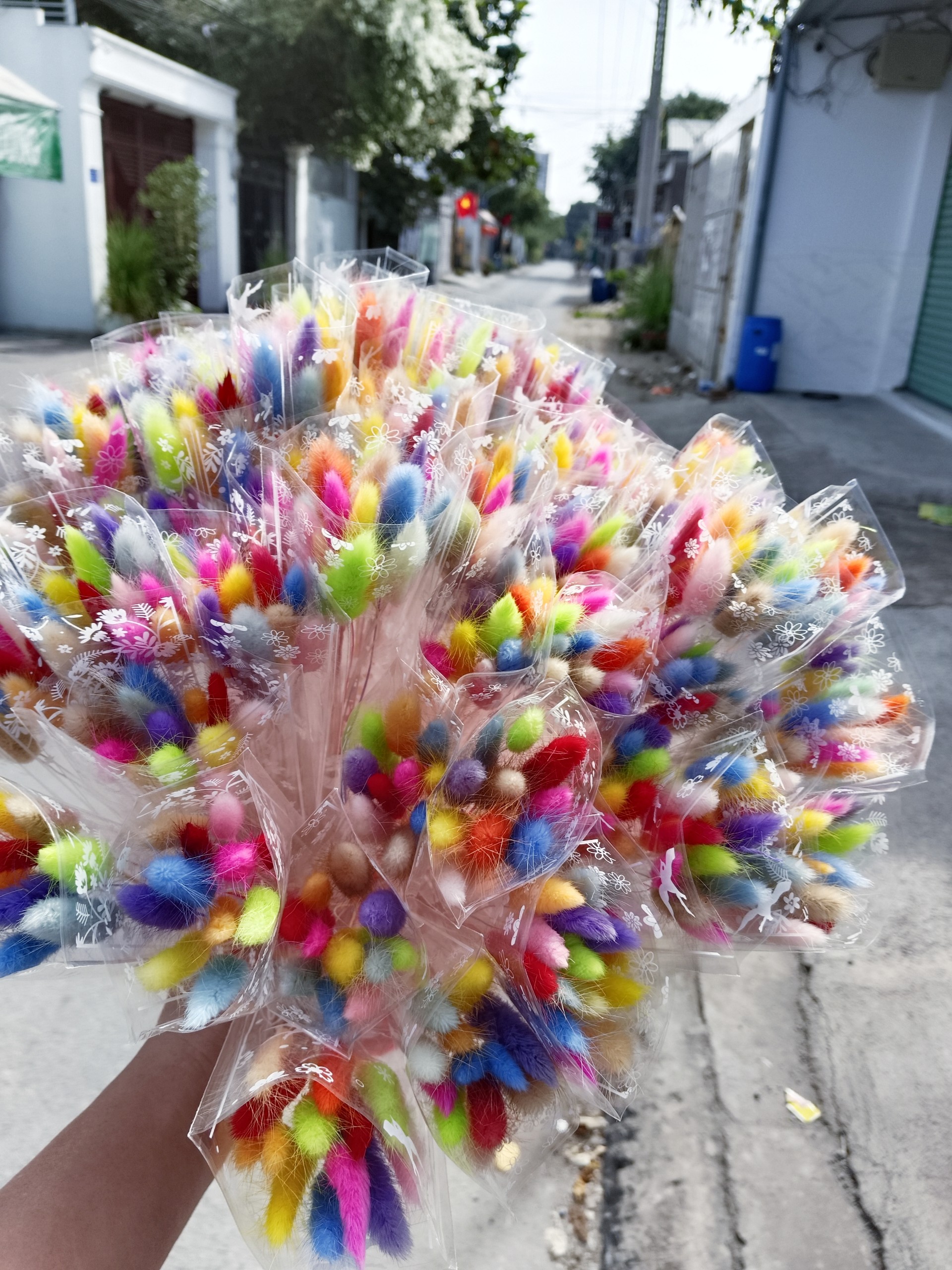 ( 10 bông ) cỏ đuôi thỏ mix nhiều màu hoa