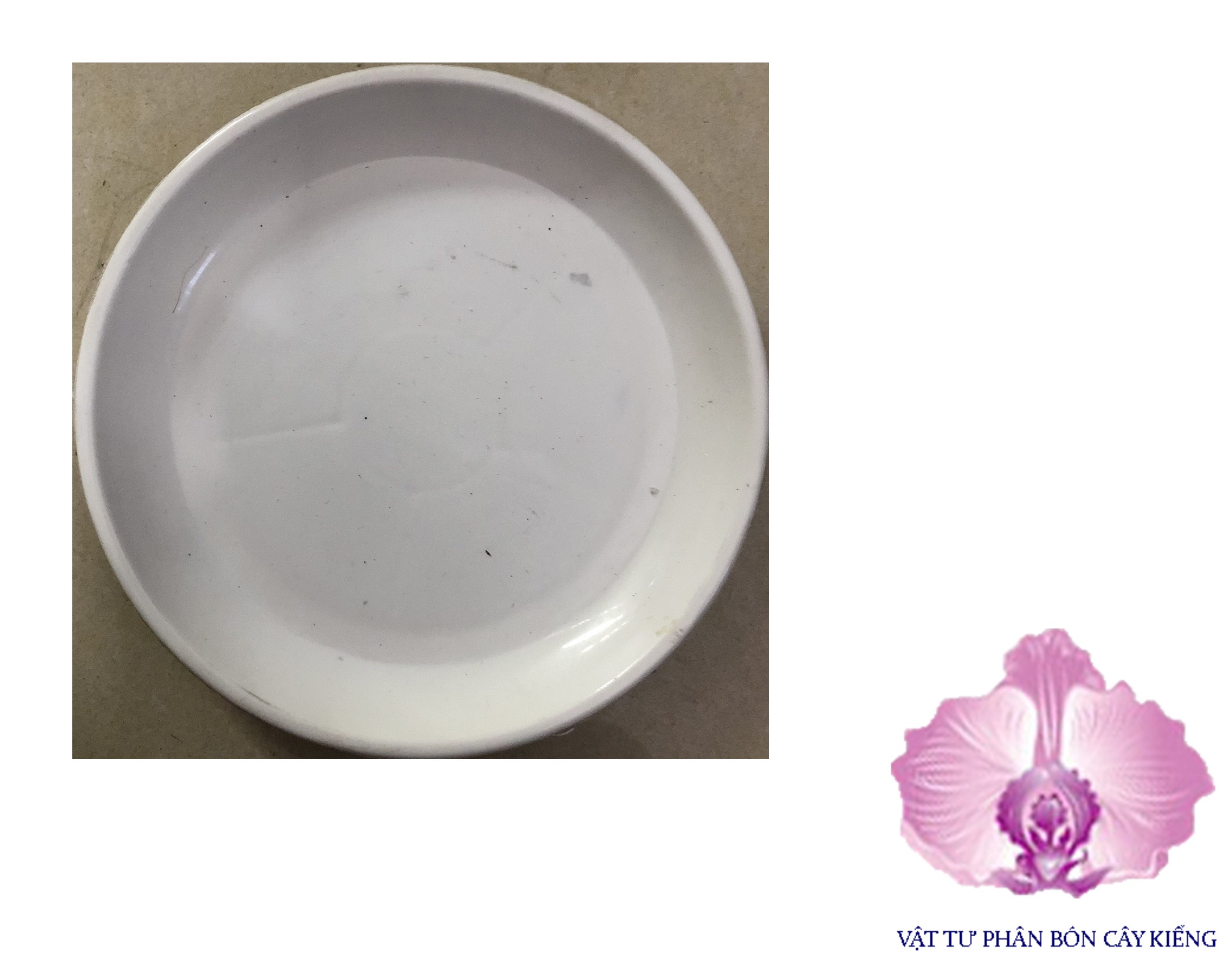 Đĩa lót chậu tròn 21cm - #041D#