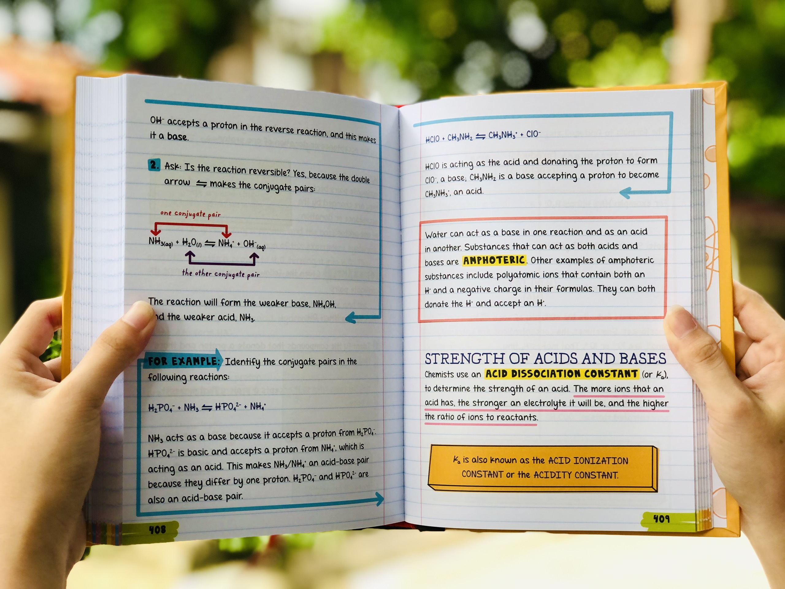 Sách Big Fat NoteBook Everything You Need To Ace Chemistry, Biology, Geometry, Computer Science (Bộ 4 cuốn Nhập khẩu)