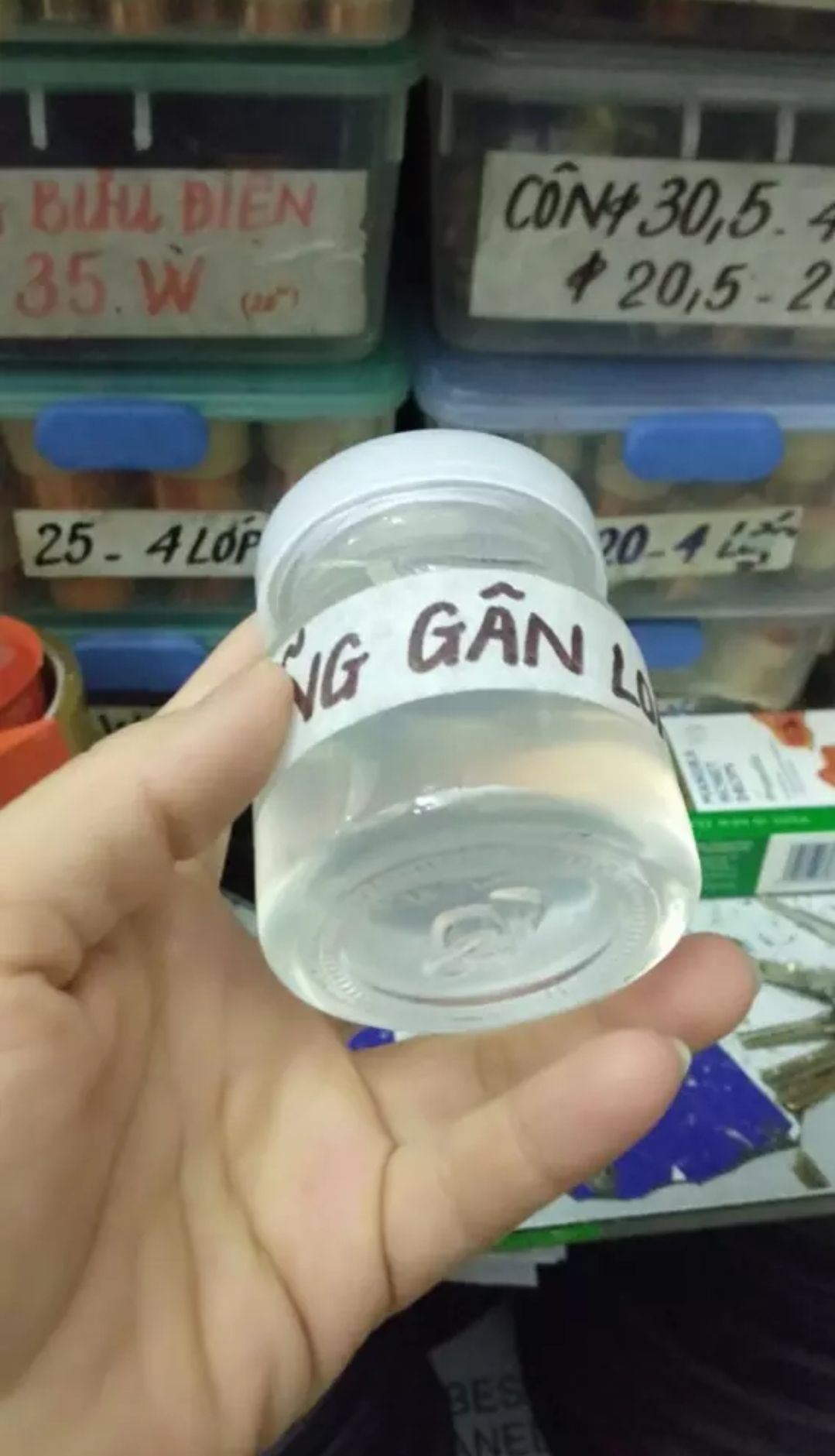 keo dương gân loa tốt