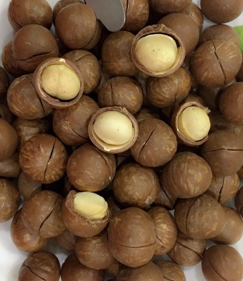 [HCM]Mắc ca (Macadamia) 500g - Úc