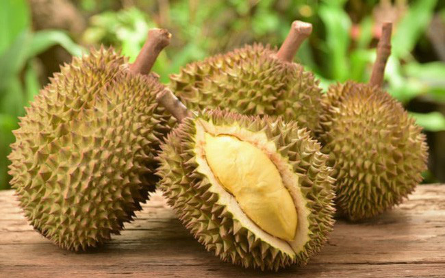 Cây giống Sầu Riêng óc khỉ