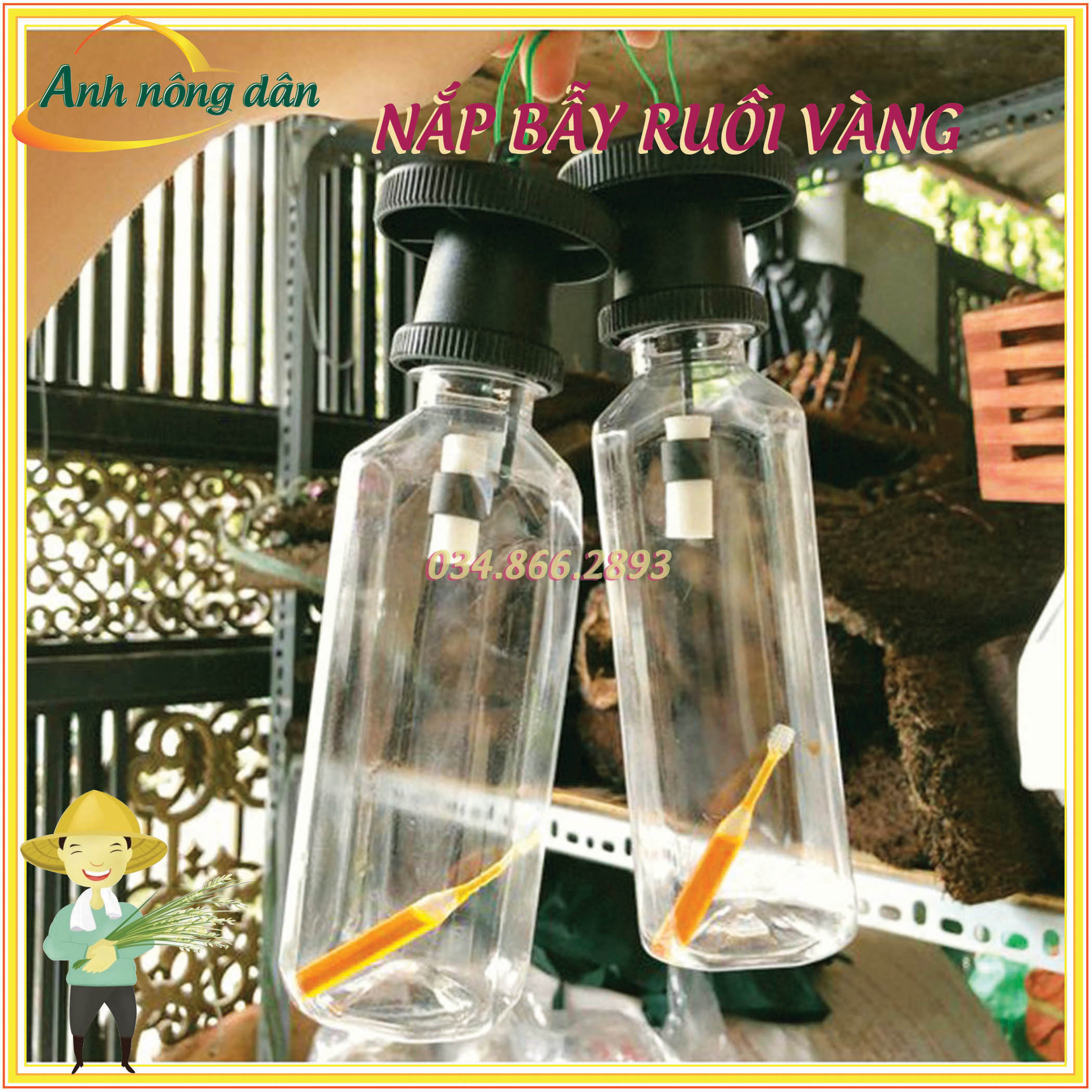 Nắp Bẫy ruồi vàng thế hệ mới + chất dẫn dụ mới