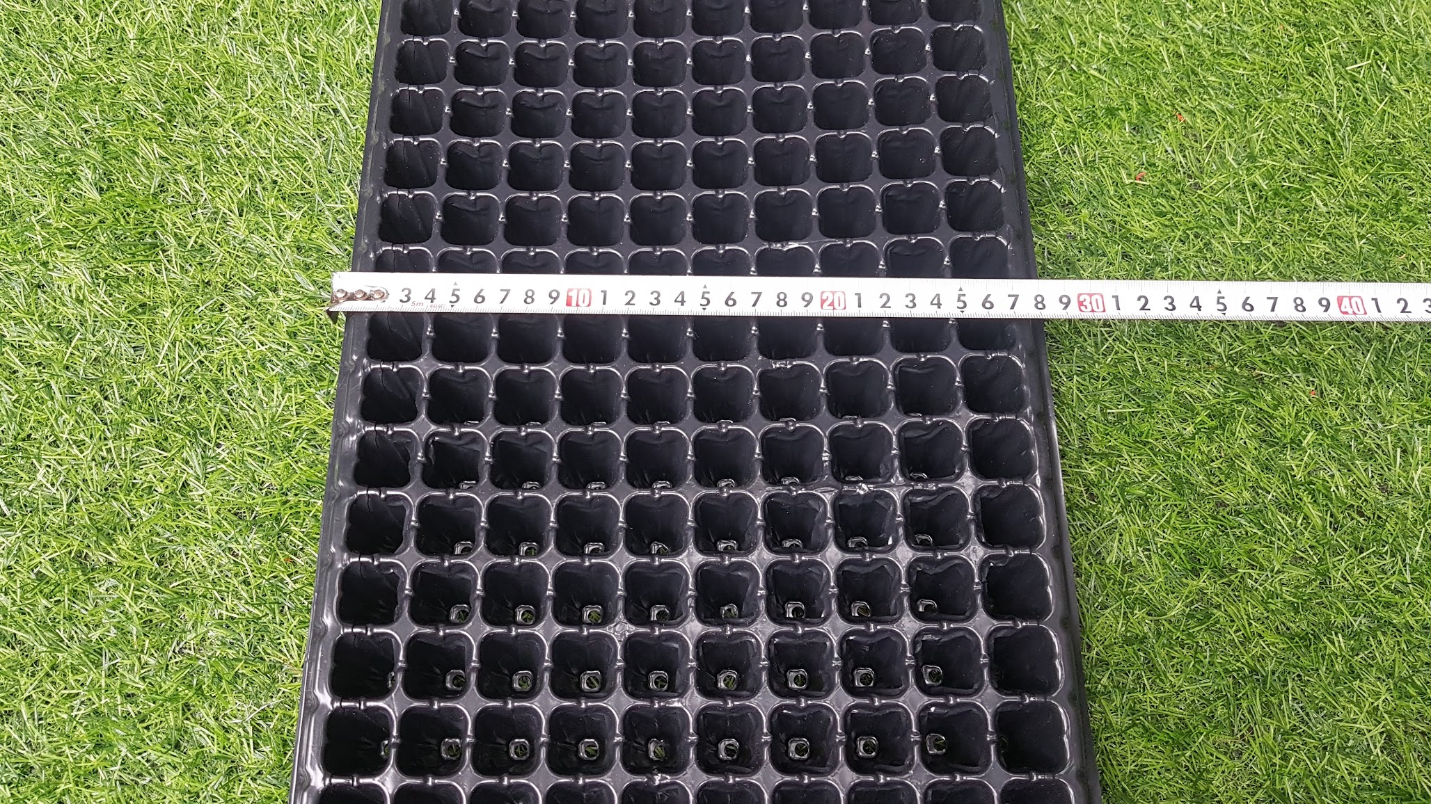 Khay mỏng ươm hạt 200 lỗ