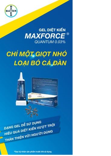 Bả diệt Kiến MAXFORCE QUANTUM
