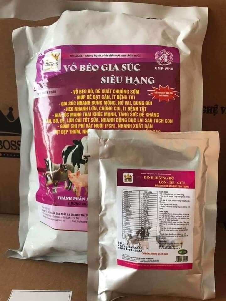 vỗ béo gia súc siêu hạng