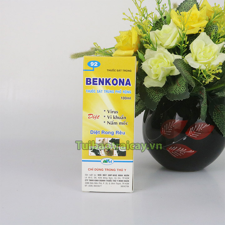 Dung dịch sát khuẩn Benkona 100ml
