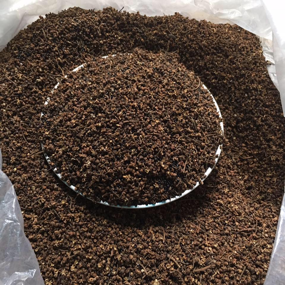 Mắc khén Tây Bắc (100gr) - Đặc Sản 27