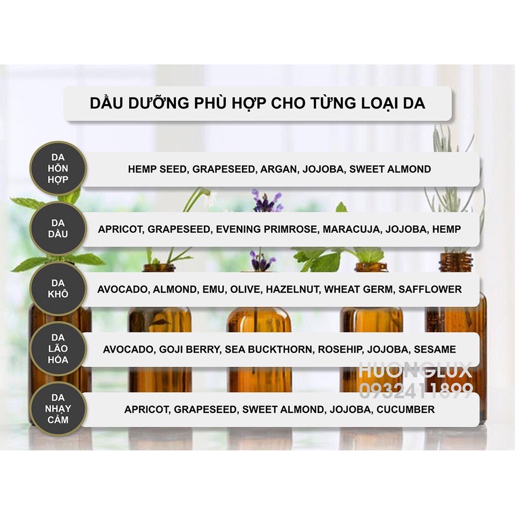 Tinh dầu Thông Pine Needle Essential Oil (Scot Pine)