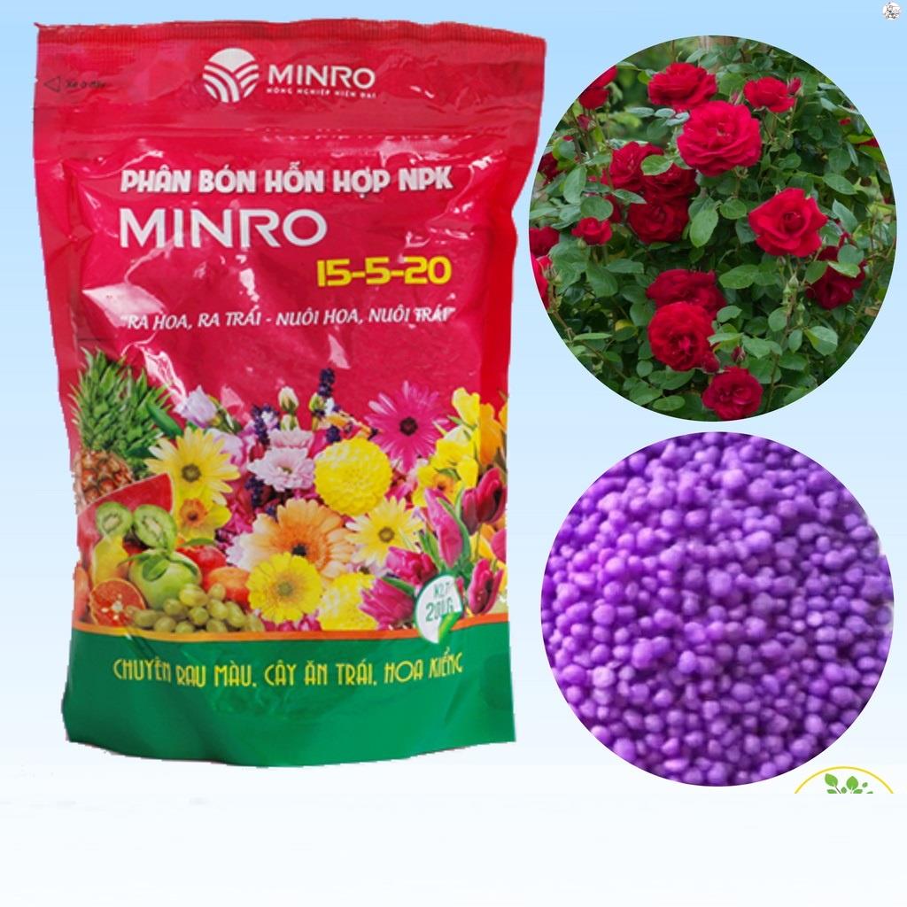 Phân bón npk minro 15-5-20 - ra hoa nuôi trái