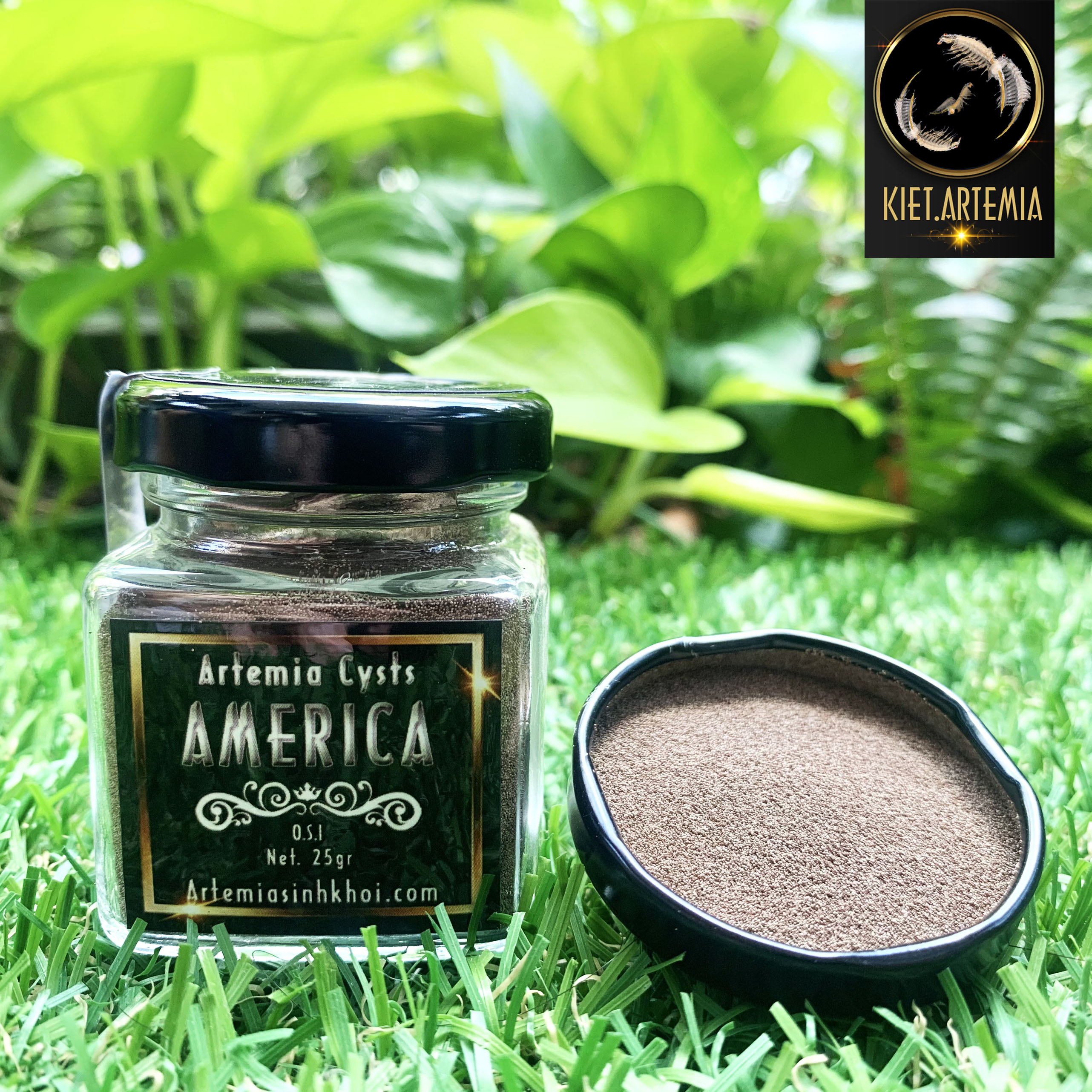 Artemia Mỹ Chất Lượng Quốc Tế