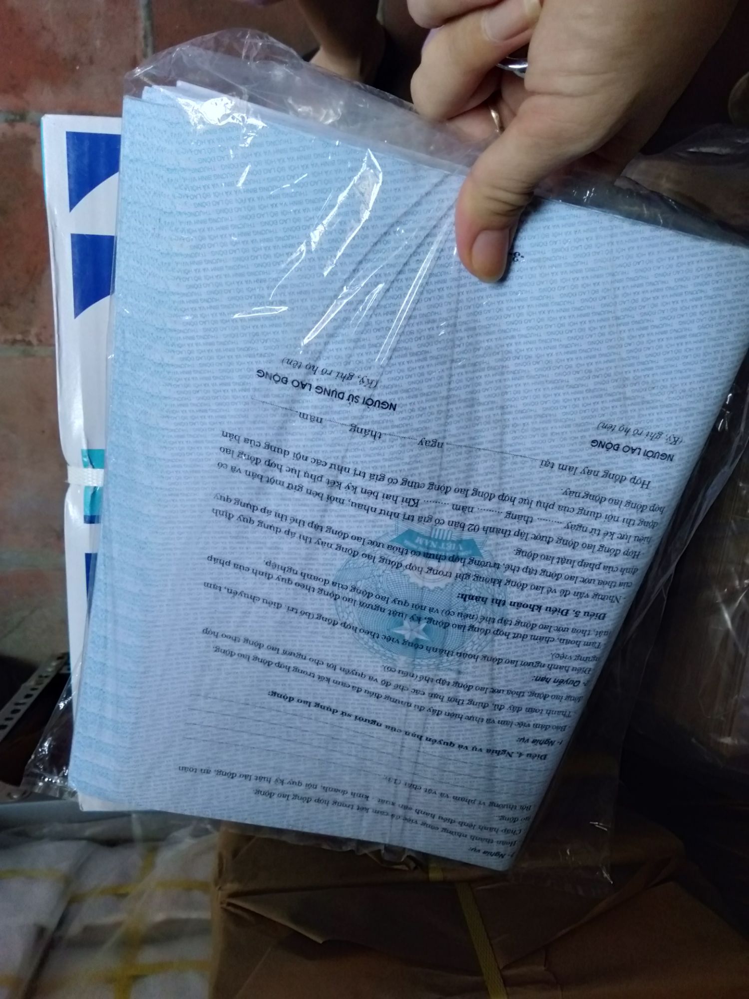 Hợp đồng lao động (100 tờ)