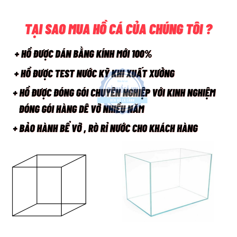 Bể cá mini CHỌN MẪU hồ cá mini để bàn