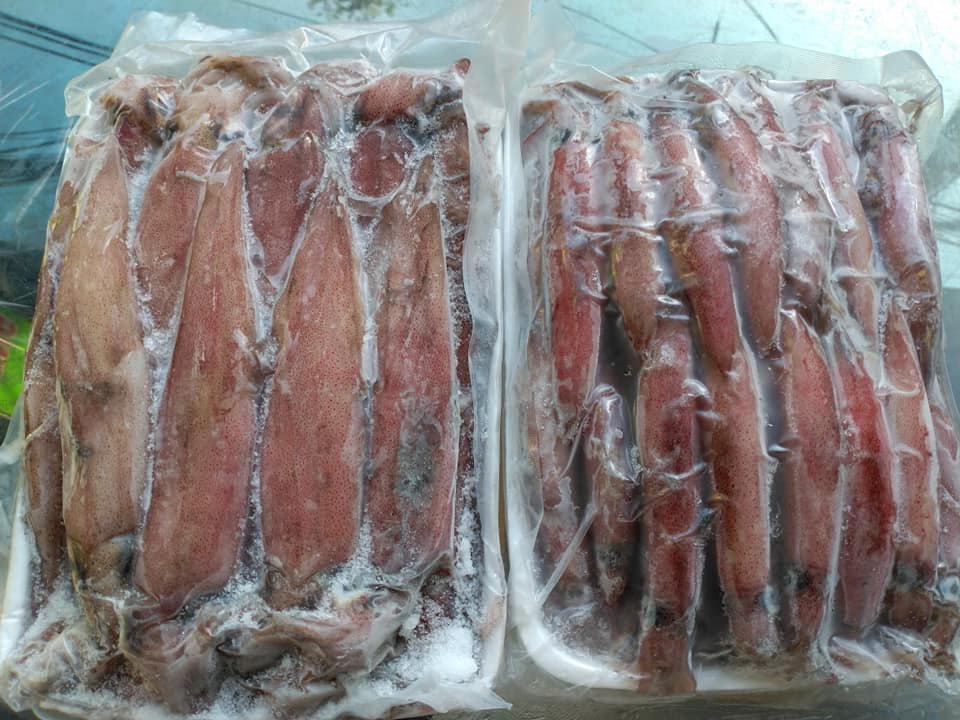 [CHỈ GIAO HÀ NỘI]  1KG Mực trứng