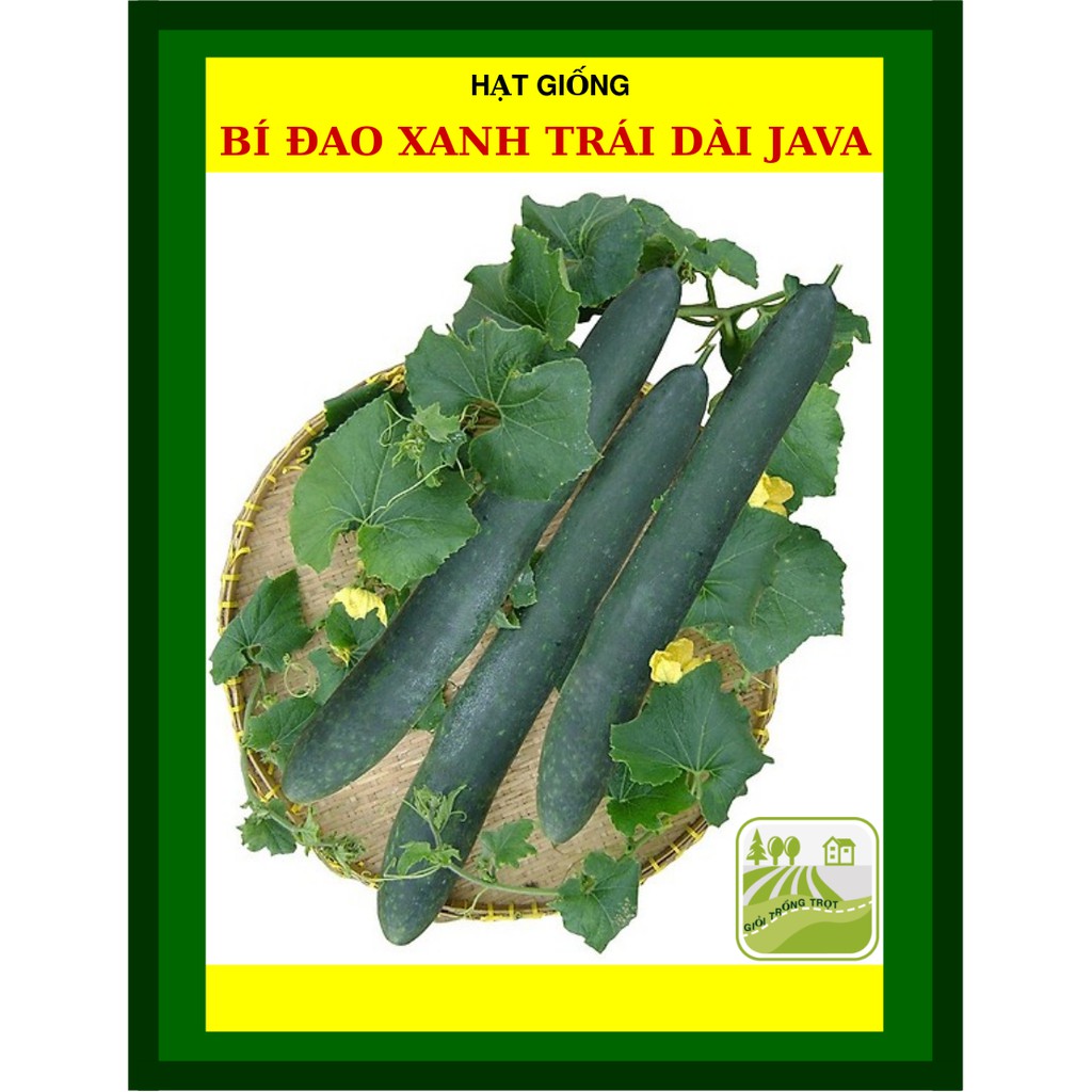 Hạt Giống Bí Đao Xanh Trái Dài F1 Java 0.2 Gram