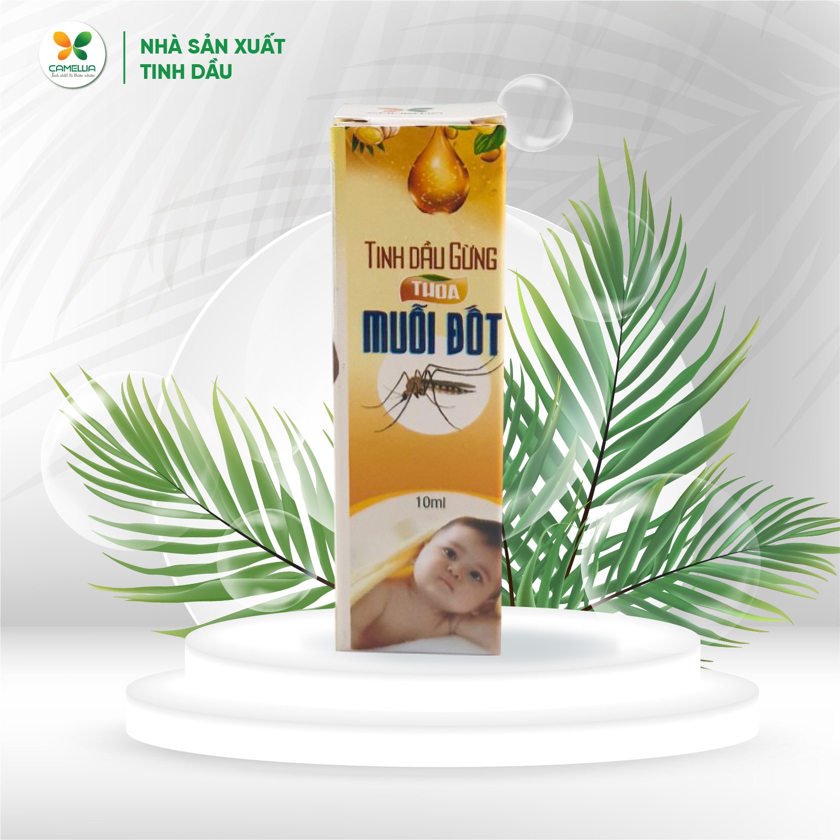 Tinh Dầu Gừng Thoa Muỗi Đốt Cao Cấp