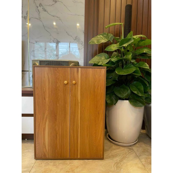 [Mã LIFE020650K giảm 10% đơn 200K] TỦ GIÀY 2 NGĂN CÁNH GỖ