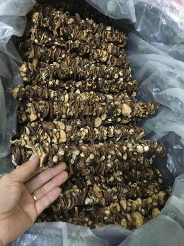1kg nấm hương rừng