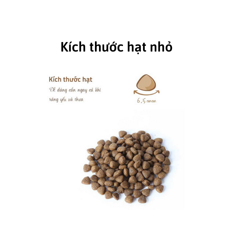 [1kg] Thức Ăn Cho Mèo Con 🐈 Hạt Hữu Cơ Bene Natural Core kitten c1