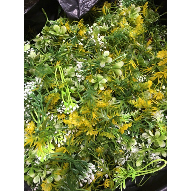 100g cỏ điểm đã bỏ gọng,điểm hoa sáp, hoa lụa, oản