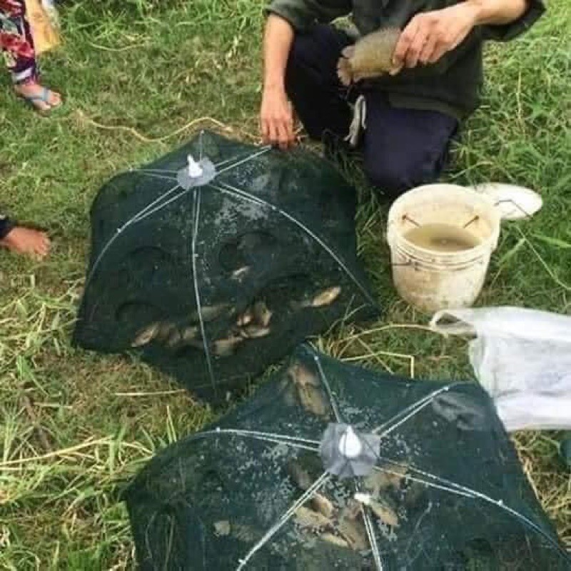 Lồng Ô Bát Quái