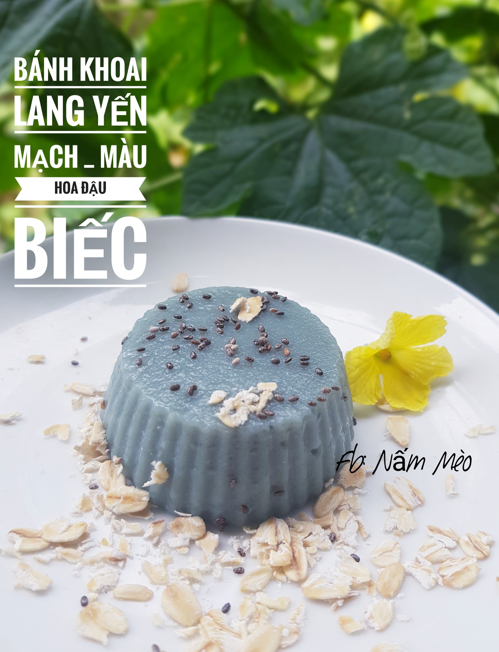 Yến Mạch Cán Mỏng Hữu Cơ Đức Bio Hafer Flocken 500gr
