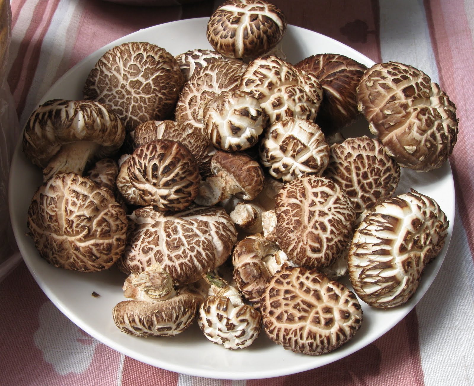 Nấm Đông Cô 100gr