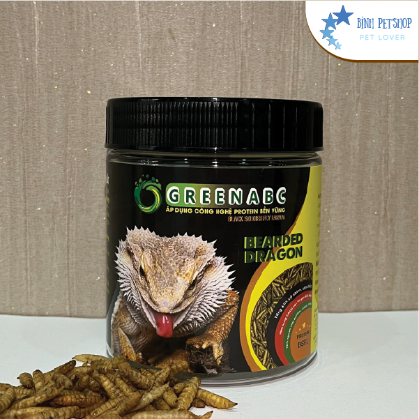 Thức ăn cho Rồng Úc, Rồng Râu (Bearded Dragon)