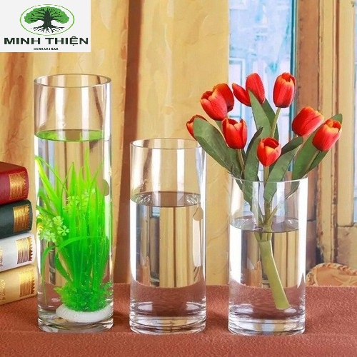 [HCM]Bình Bông Lọ Hoa Thủy Tinh Trang Trí D12CM * H20CM