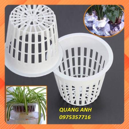 [Rẻ vô địch] 20 RỌ THỦY CANH TRỒNG CÂY - RAU