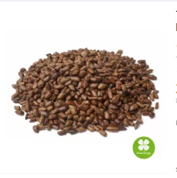 Thảo quyết minh (hạt muồng muồng) gói 1kg - DTX130