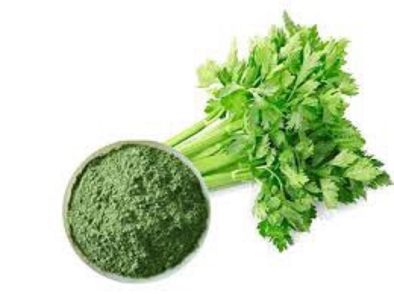 bột cần tây sấy lạnh 500gr