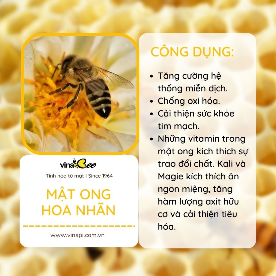 Mật ong hoa nhãn Vinabee 530g