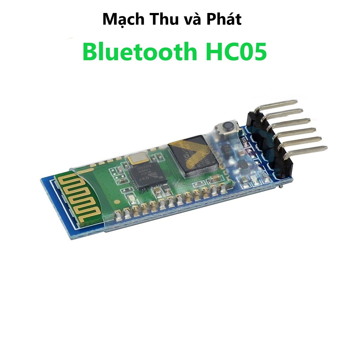 Module Bluetooth HC05 thường, chính hãng