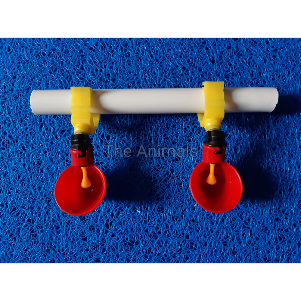 [HCM][Máng + Kẹp ống] Máng uống tự động cho gà chim vịt....